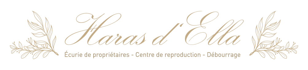 Haras d'Ella